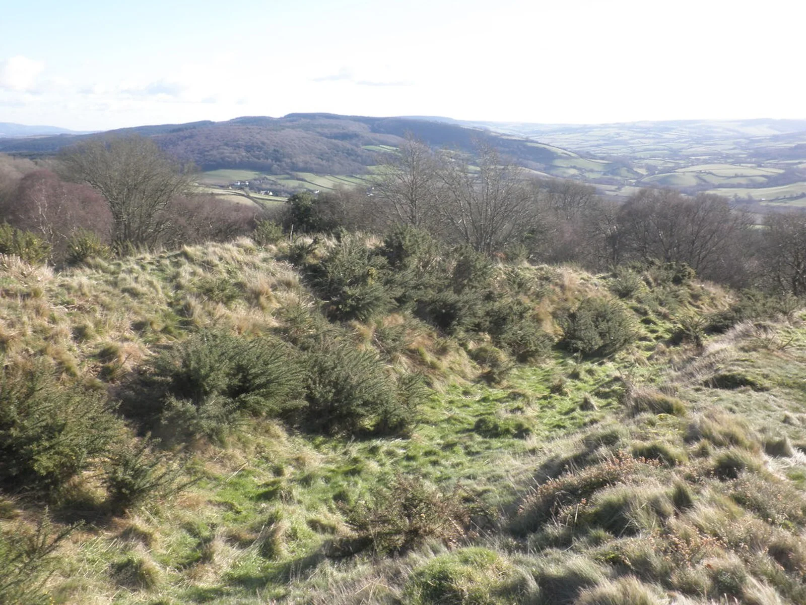 Bury Castle, Selworthy